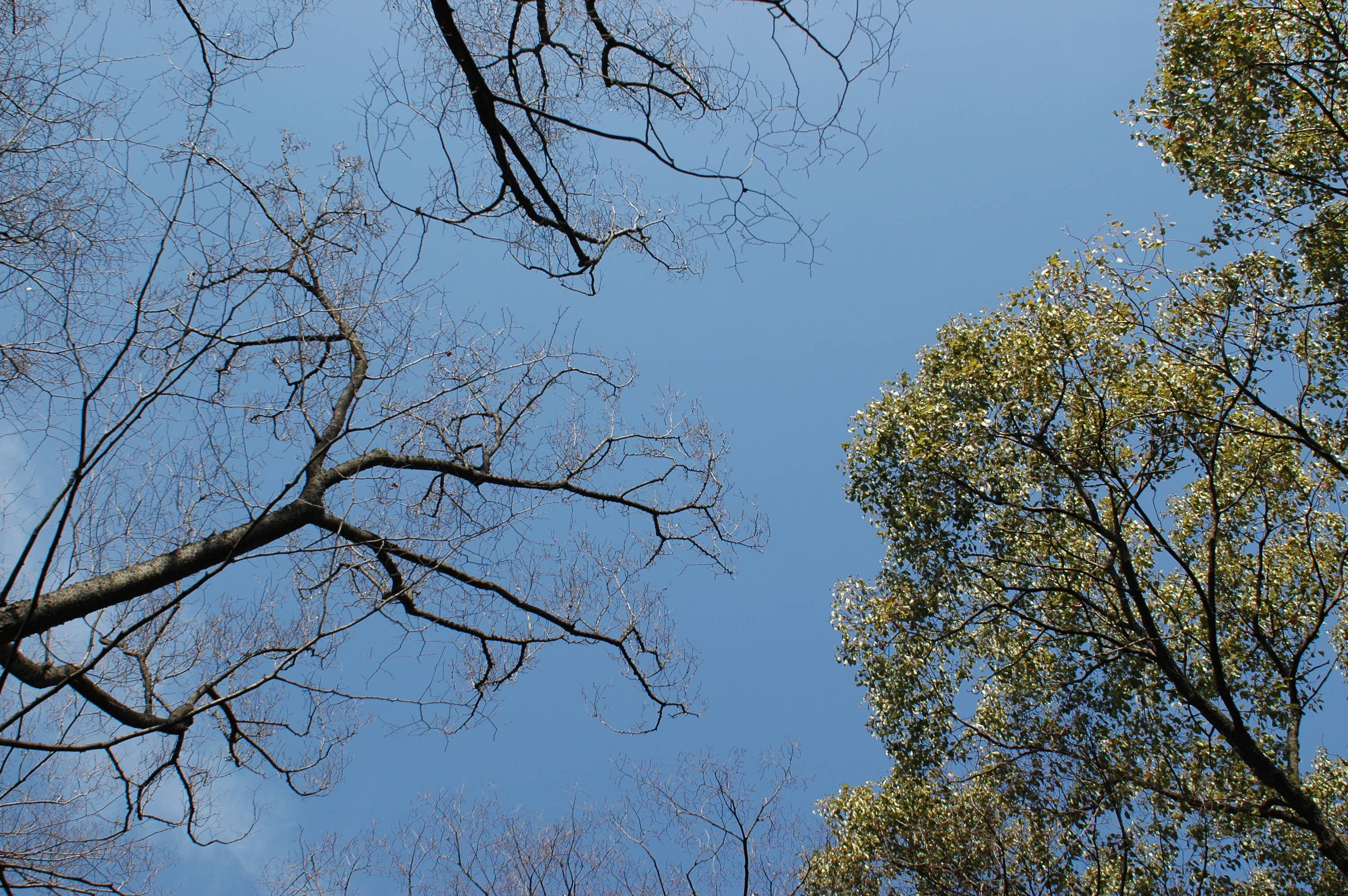 大阪城公園